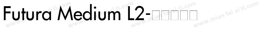 Futura Medium L2字体转换